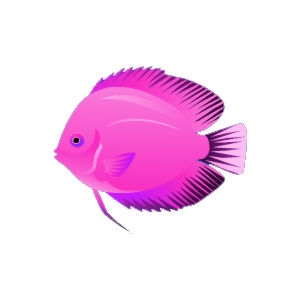 Pink Friendship Discus